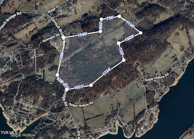 133 Acres Devault Bridge Rd, Piney Flats, TN 37686 - photo 4