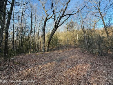 No Number Upper Cherrytown Rd, Rochester, NY 12446 - photo 3