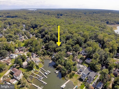 349 Arbutus Dr, Edgewater, MD 21037 - photo 5