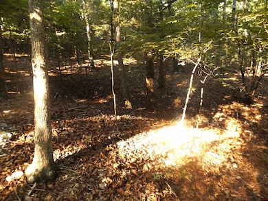 002-07543-000 Antler Pass, Henderson, AR 72544 - photo 5