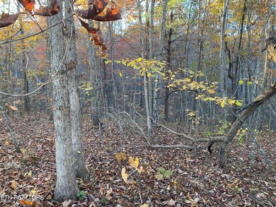 0 Cumberland View Dr unit 1321574, Crossville, TN 38571 - photo 2