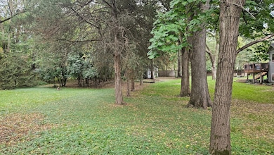5920 Hodgson treeline.jpg