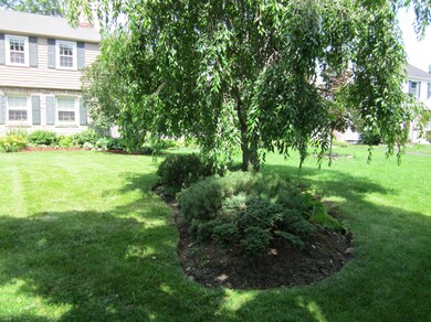 131 n cassingham 002