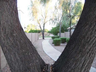 3048 E Kramer St, Mesa, AZ 85213 - photo 7