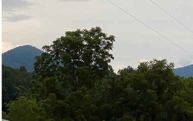 Additional View