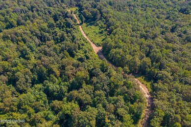 00 Leach Rd, Cedar Grove, TN 38321 - photo 7