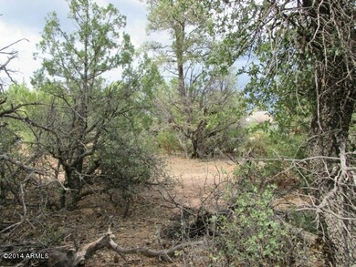 Photo 04