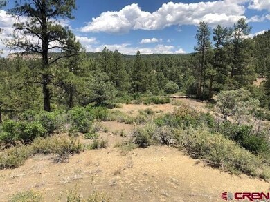 29736 State Hwy 151, Chimney Rock, CO 81147 - photo 7