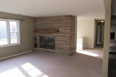 738 Carpico-Living Room Fireplace
