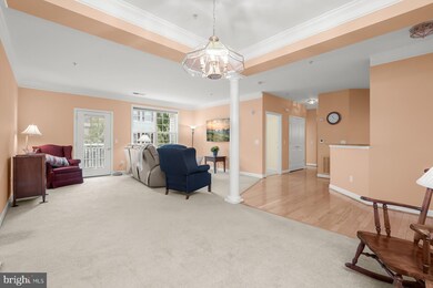 1509 Feral Dae Ln unit 5-202, Annapolis, MD 21409 - photo 4