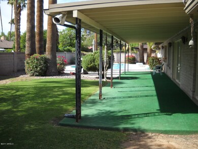 patio/backyard