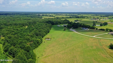 0 Russell Rd, Flora, MS 39071 - photo 7