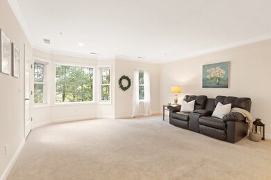 195 Salem St unit 2205, Wilmington, MA 01887 - photo 5