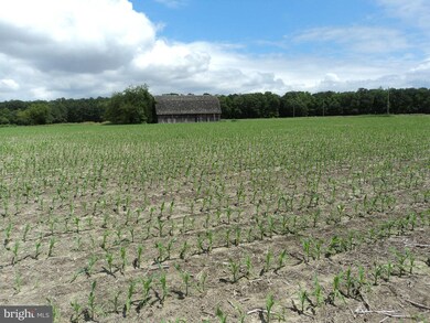 28068 Howell Point Rd, Trappe, MD 21673 - photo 6