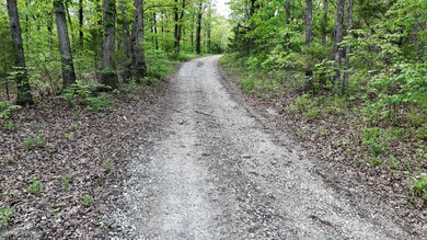 DJI_20240501170055_0311_D