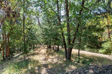 3039 pearce park rd, grants pass-07