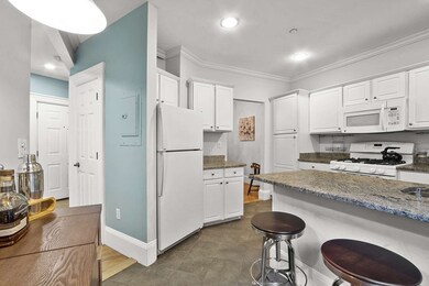 31 E Springfield St unit 1, Boston, MA 02118 - photo 3