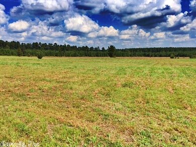 0 Arkansas 35, Sheridan, AR 72150 - photo 5