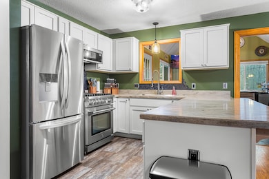 10798 E Remus Rd, Mount Pleasant, MI 48858 - photo 4