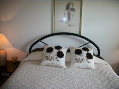 18033 Vista Dr unit 18033, Country Club Hills, IL 60478 - photo 3