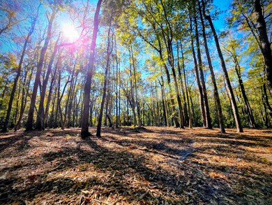 Horses and MH's permitted