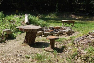 0 Wilcox Rd, Washington Island, WI 54246 - photo 4