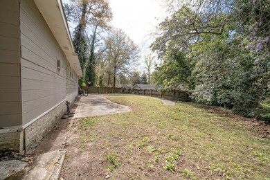 Backyard Side 1