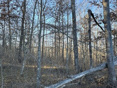 Tbd, Springbrook, WI 54875 - photo 7