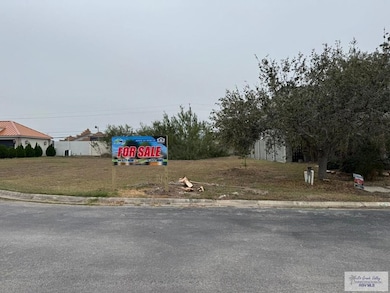 0000 Emerald Valley Blvd, Brownsville, TX 78526 - photo 5