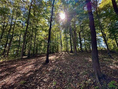 216 W Halfway Branch Rd, Walhalla, SC 29691 - photo 2