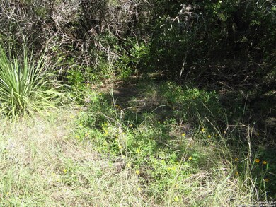 0 County Road 241, Hondo, TX 78861 - photo 5