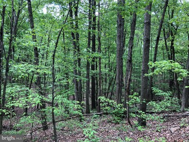 TBD Clark Rd, Basye, VA 22810 - photo 2