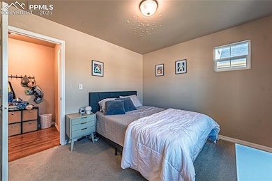 5035 Petrified Forest Trail, Colorado Springs, CO 80924 - photo 6