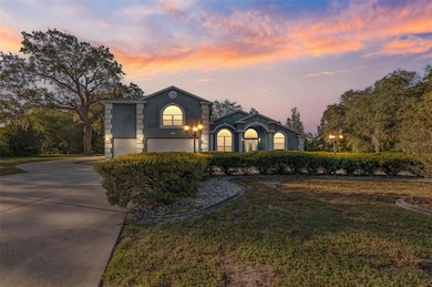 12054 Conway St, Spring Hill, FL 34609 - photo 6