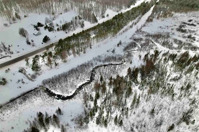 TBD U S 131, Boyne Falls, MI 49713 - photo 7