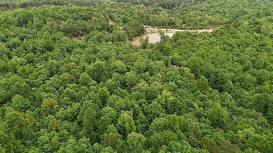 Tract 19 Pine Ridge Ln, Clinton Township, MO 65689 - photo 2