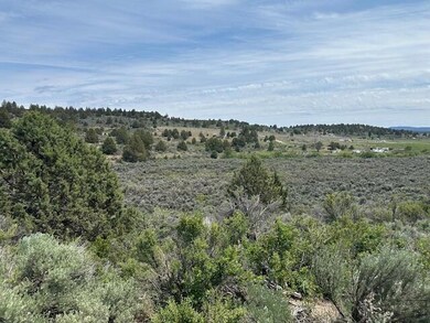 IMG_8399