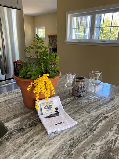 31 Robin Acres Dr unit 142-051-000, Wolfeboro, NH 03894 - photo 6