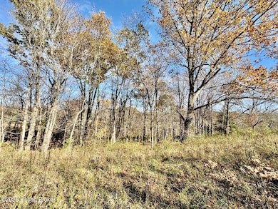 9501 Triple 5 Hwy, Willisburg, KY 40078 - photo 6