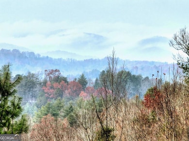 89 N Whitepath Cir, Ellijay, GA 30540 - photo 6