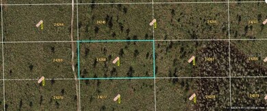 0 Dill Rd unit MFRO6234602, Orlando, FL 32820 - photo 3