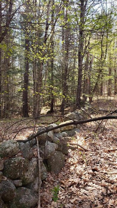 590FX Flanders Rd, Henniker, NH 03242 - photo 4