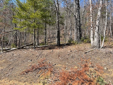 TBD New River Oaks Dt, Austinville, VA 24312 - photo 3