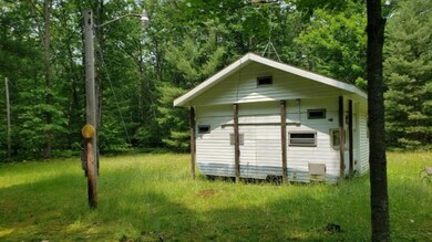 970 W 14 Mile Rd, Bitely, MI 49309 - photo 7