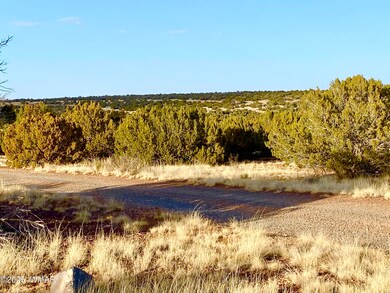 1965 Tee St, Show Low, AZ 85901 - photo 2