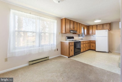 31 E Locust Ln unit 29, New Oxford, PA 17350 - photo 6