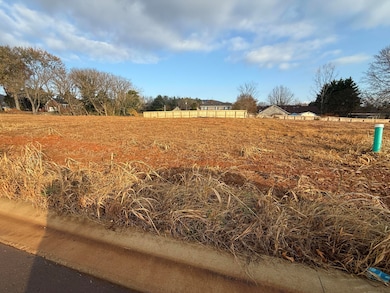 2482 Sandstone Dr, Morristown, TN 37814 - photo 5