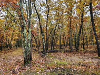 2323 W 17 Mile Rd, Bitely, MI 49309 - photo 4