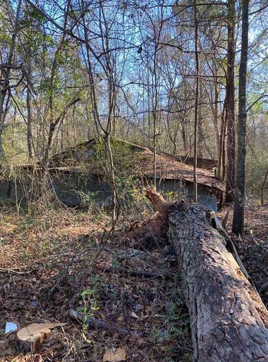 0 Gullatte St, Nash, TX 75569 - photo 3