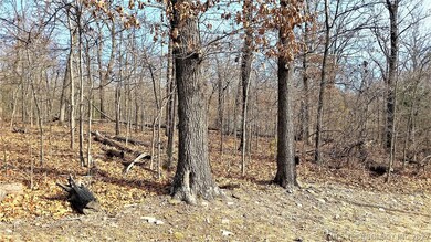 0 Dove Rd unit 2023723, Locust Grove, OK 74352 - photo 2